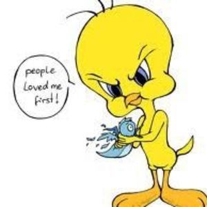 Meet your Posher, Ida